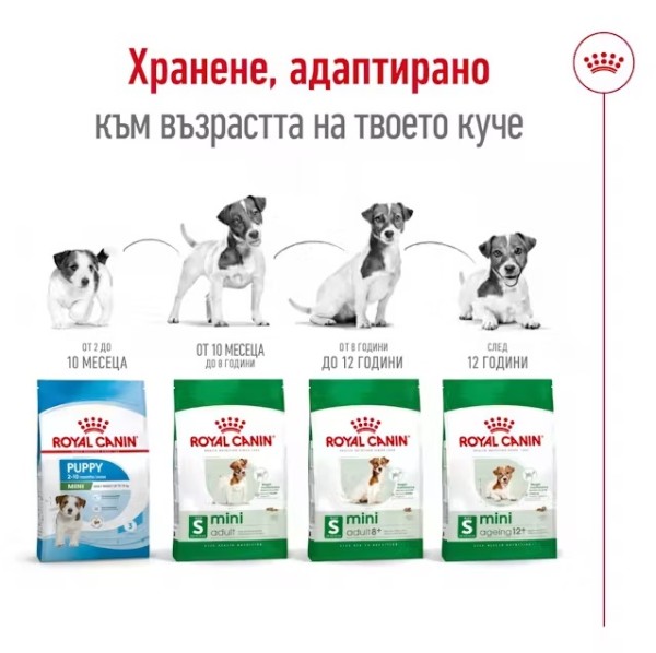 Royal Canin Dog Adult Mini - Пълноценна суха храна за кучета от дребни породи от 10 месеца до 8 години